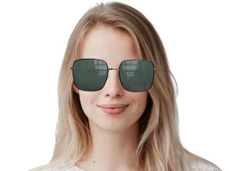 Dior stellaire clearance 1 sunglasses